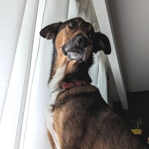 Meet your Posher, Breanna